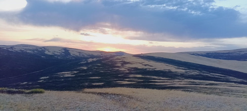 Сүхбаатар аймгийн Мөнххаан суманд гарсан хээрийн түймрийг бүрэн унтраалаа